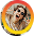 Perfil